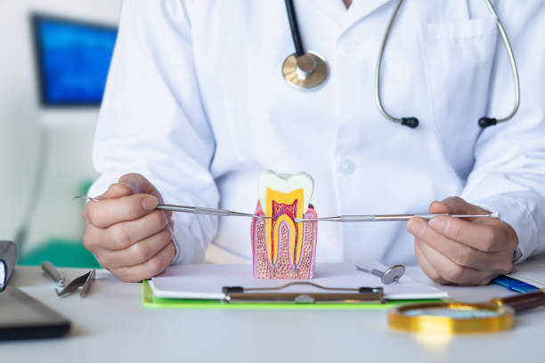 Best Emergency Dental Care for Abscessed Tooth in Indian Harbour Beach, FL